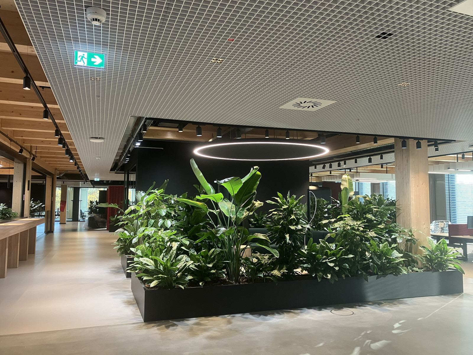 IMG_5463.jpg [4.12 MB]